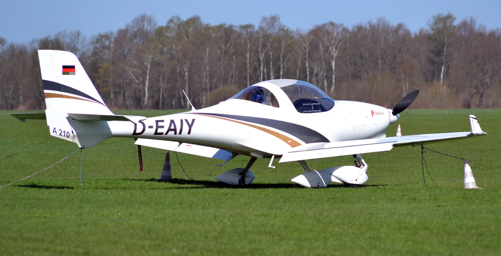 Aquila A210