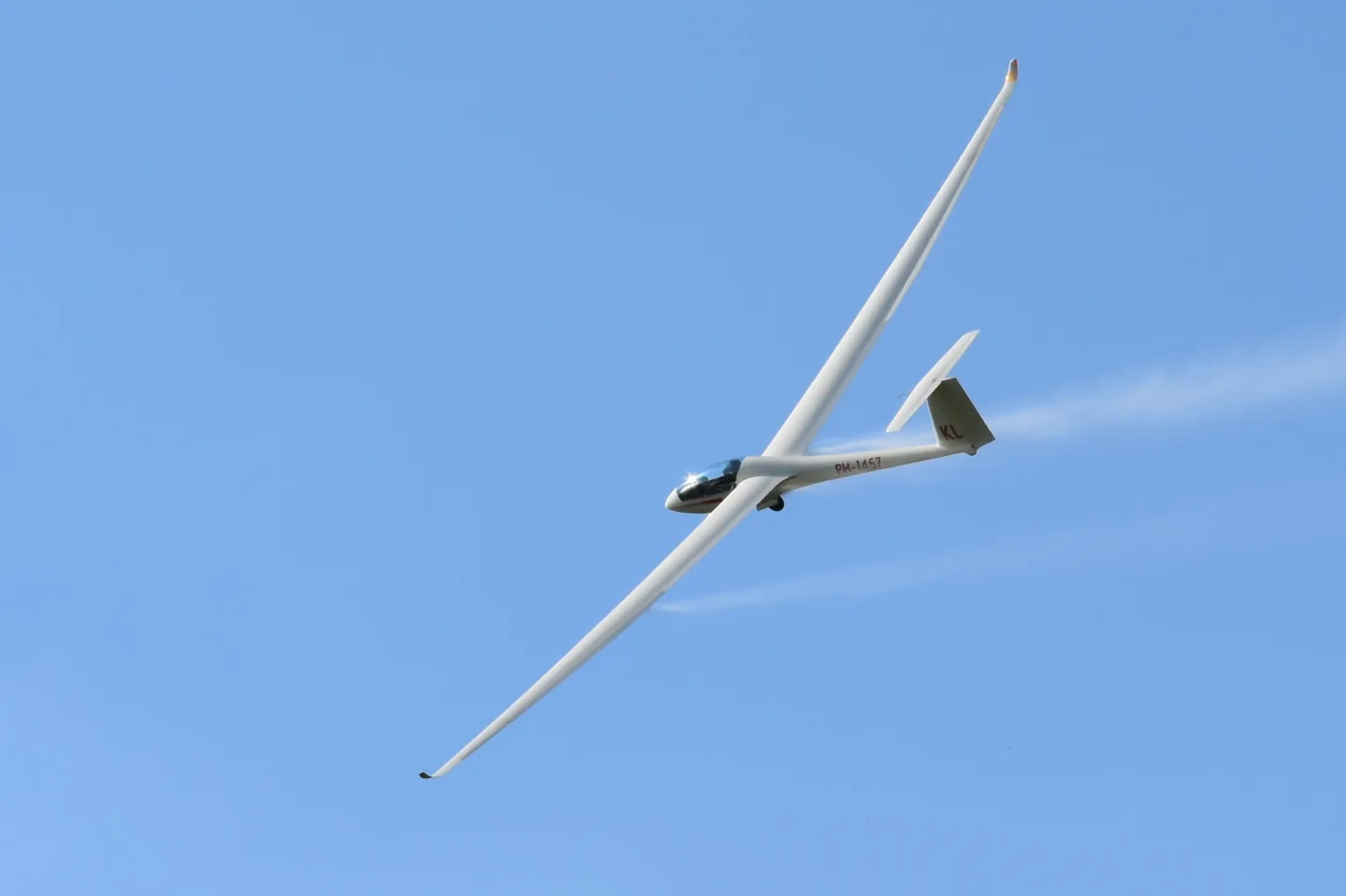 DG Aviation LS8-18