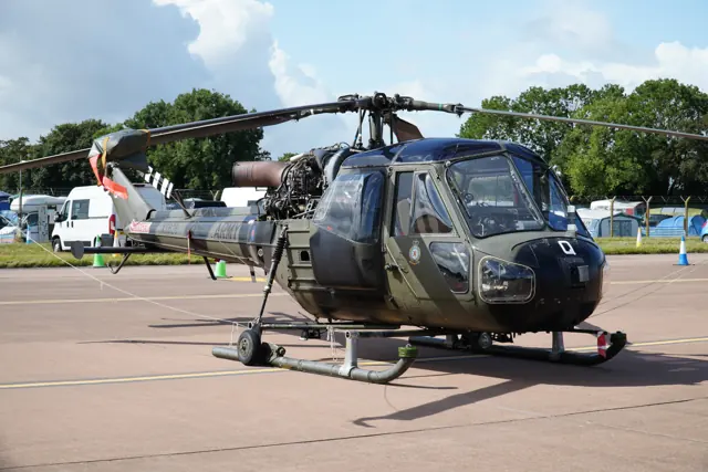 Westland Scout / Wasp