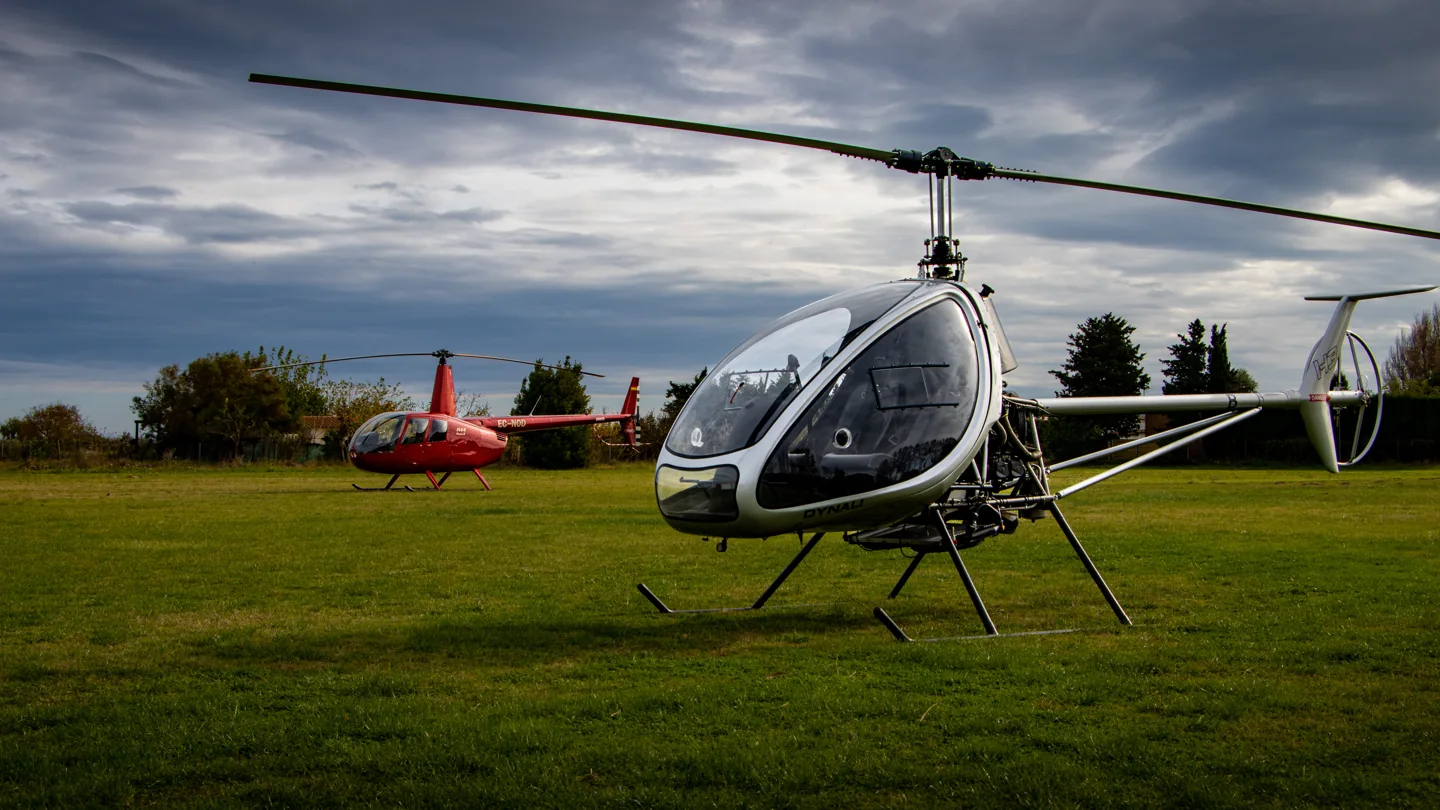 Dynali H3