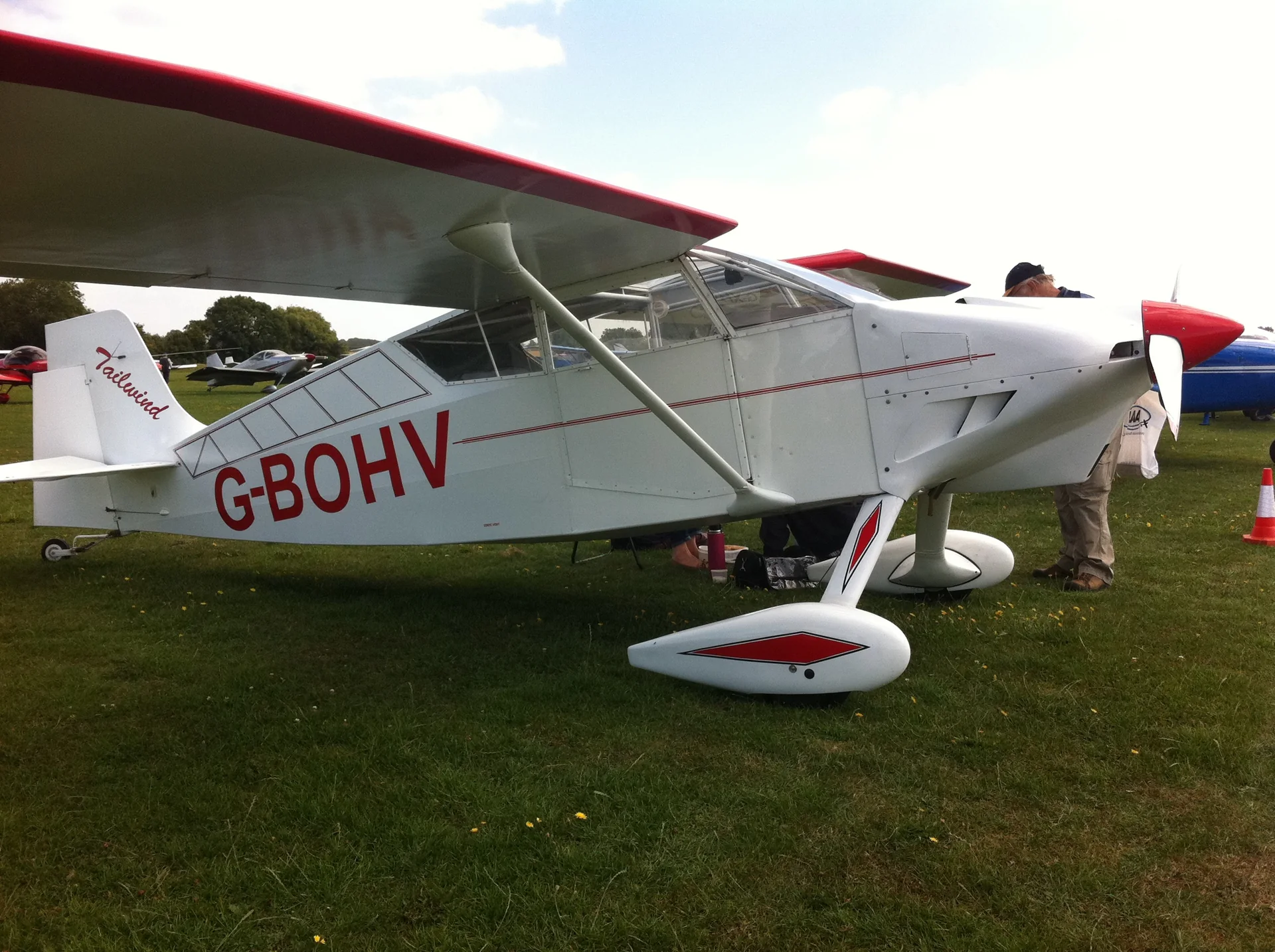 Wittman Tailwind W8